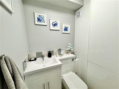 Picture 16
